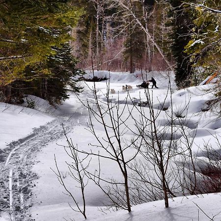 Gite Aux Jardins De L'Anse Percé Exterior foto