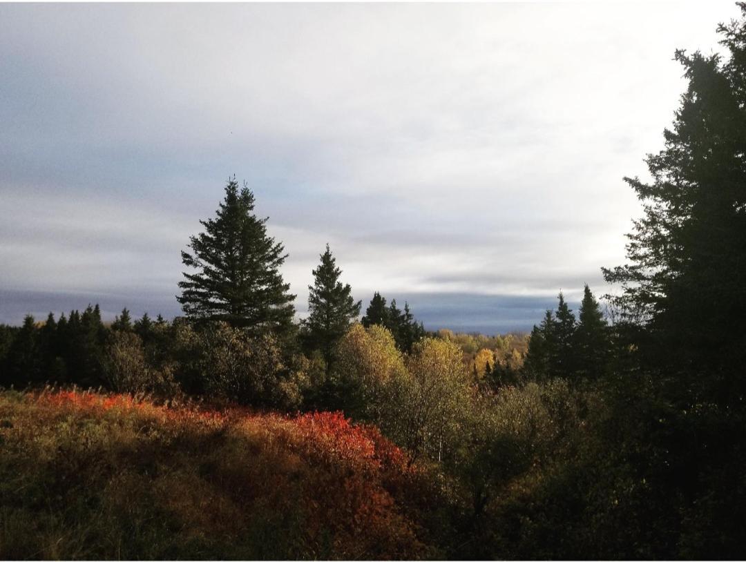 Gite Aux Jardins De L'Anse Percé Exterior foto