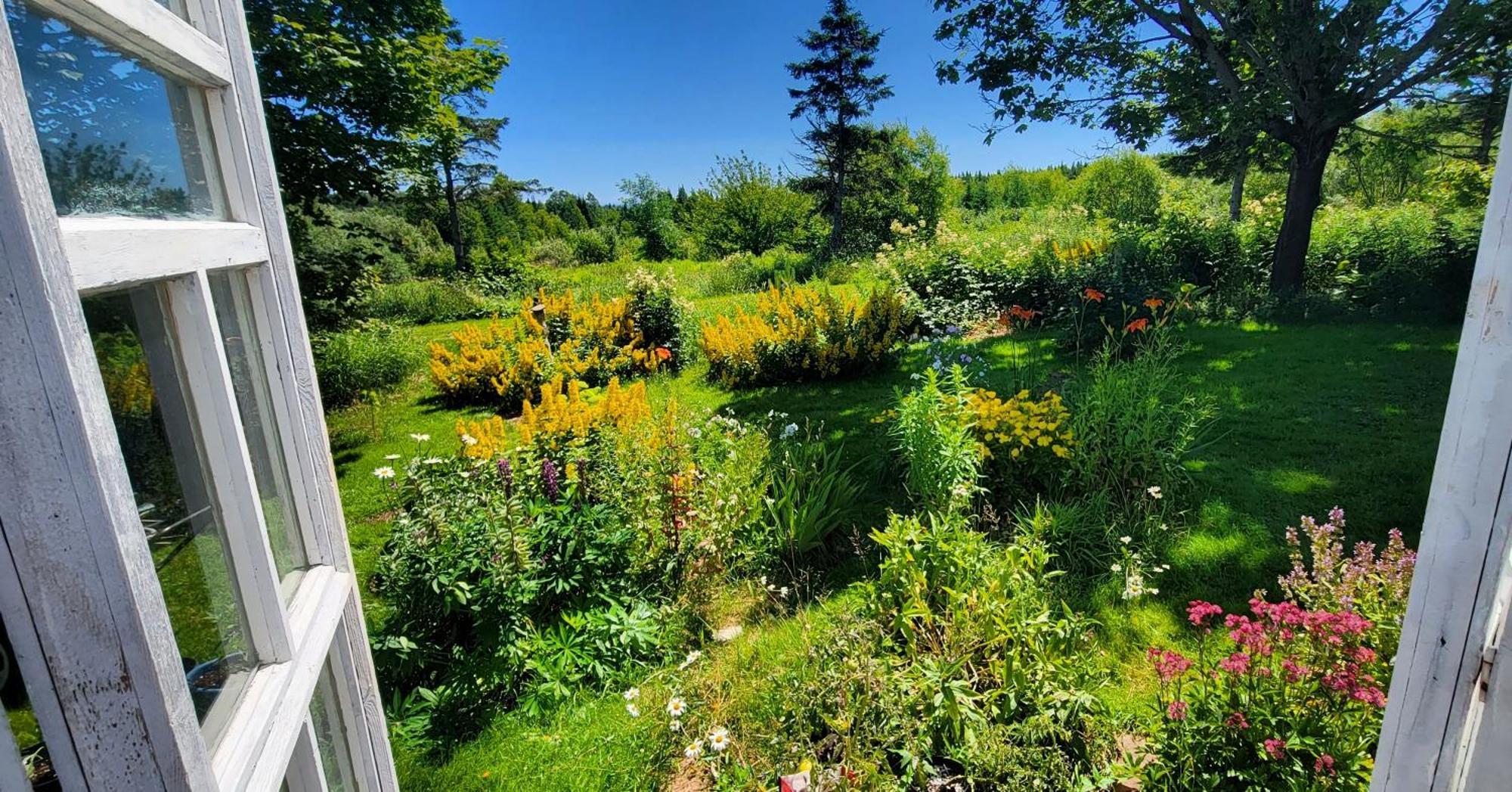 Gite Aux Jardins De L'Anse Percé Exterior foto