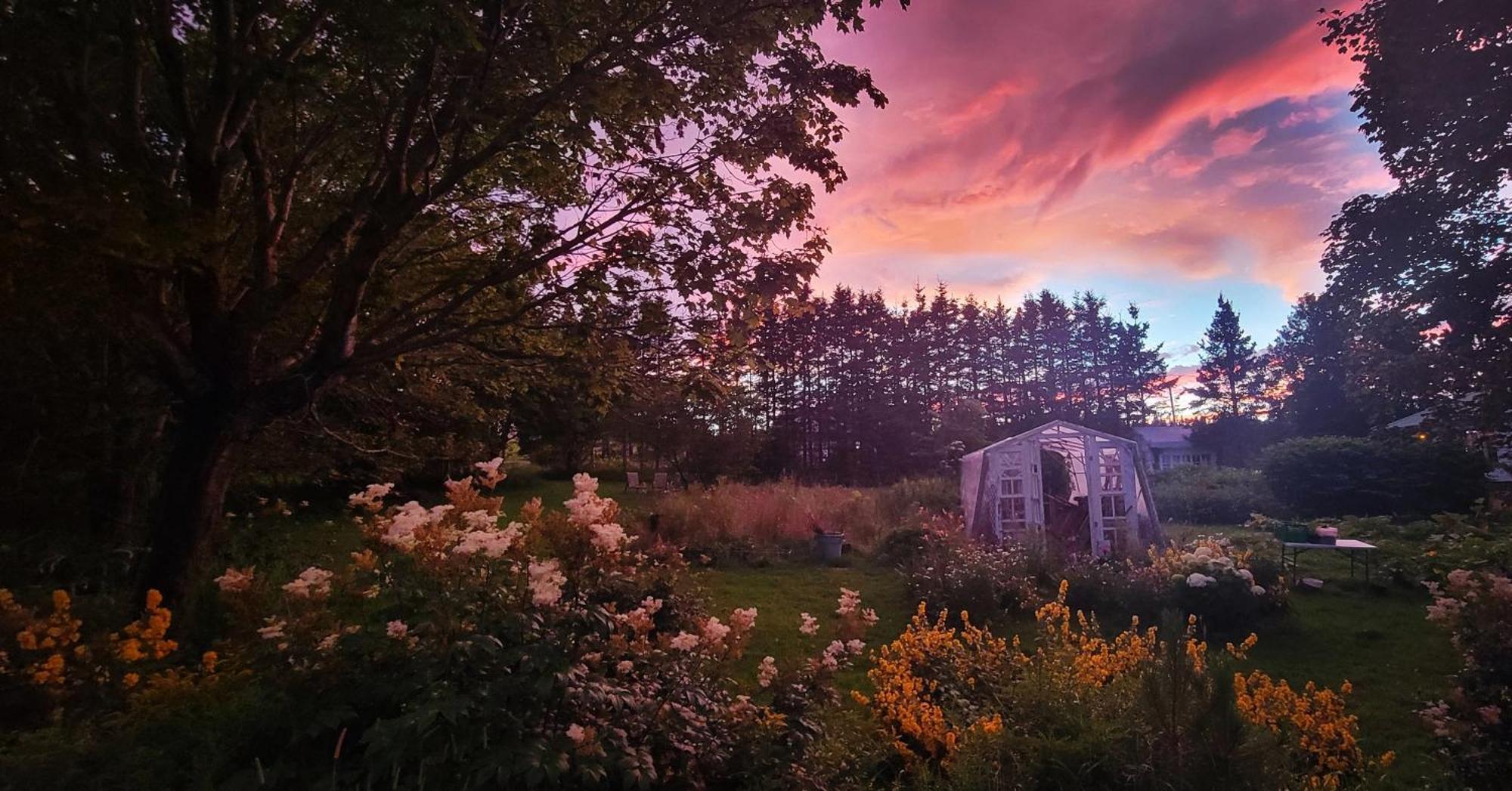 Gite Aux Jardins De L'Anse Percé Exterior foto
