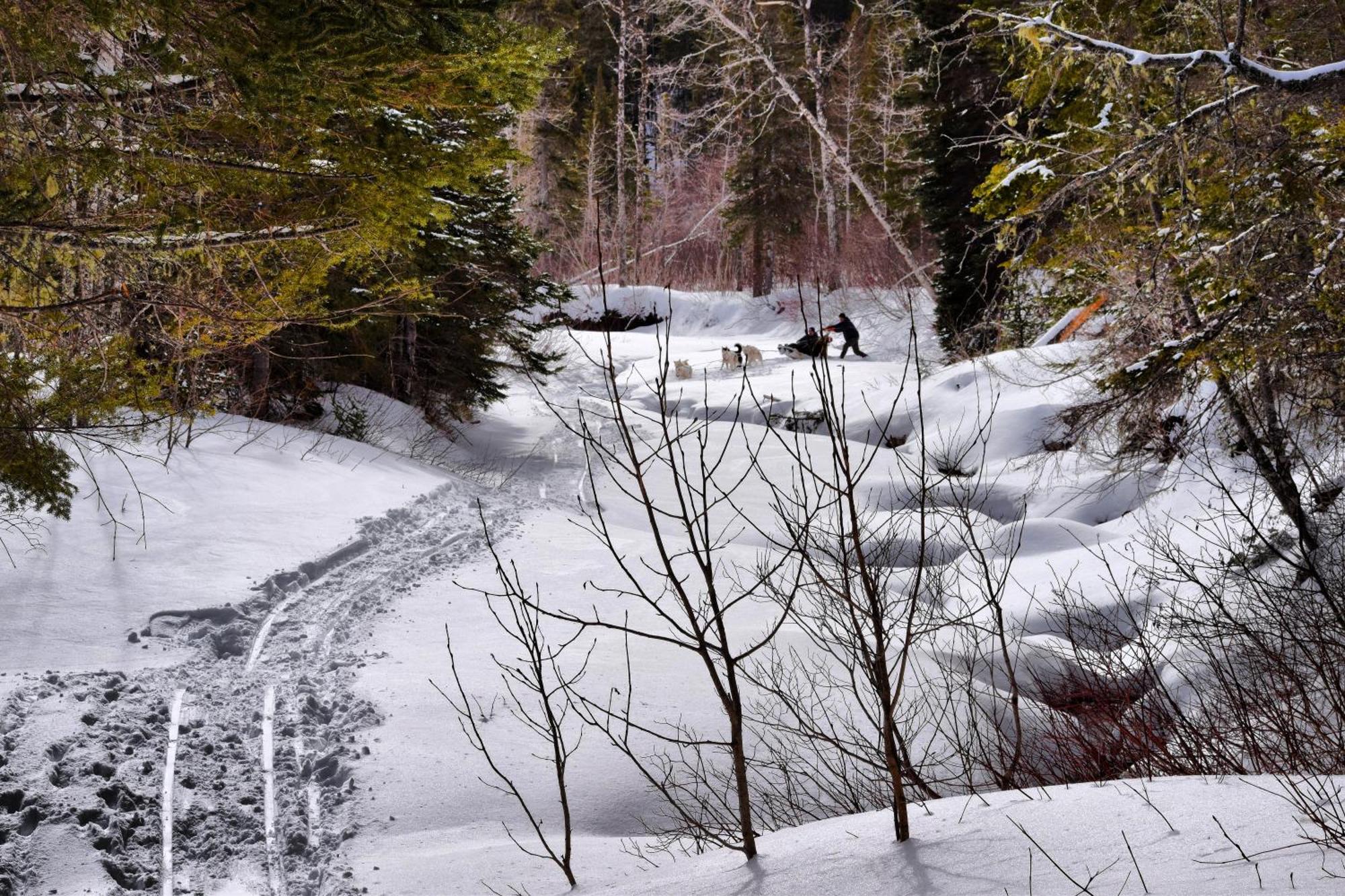 Gite Aux Jardins De L'Anse Percé Exterior foto