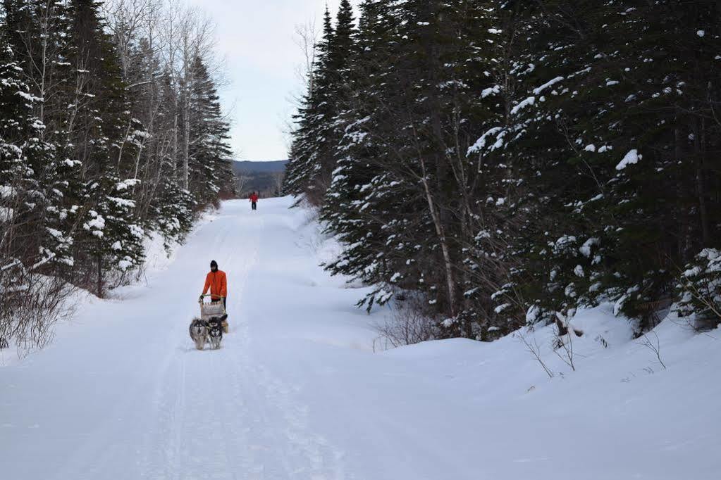 Gite Aux Jardins De L'Anse Percé Exterior foto